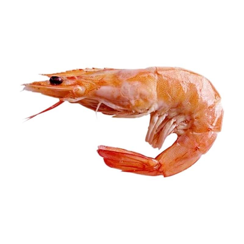 Langostino