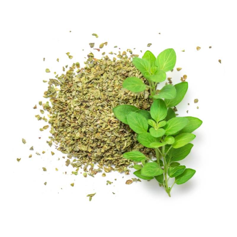 Oregano