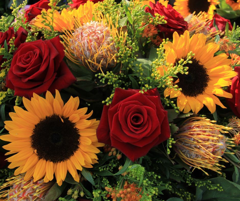 Ornamentales | Directamente de los productores