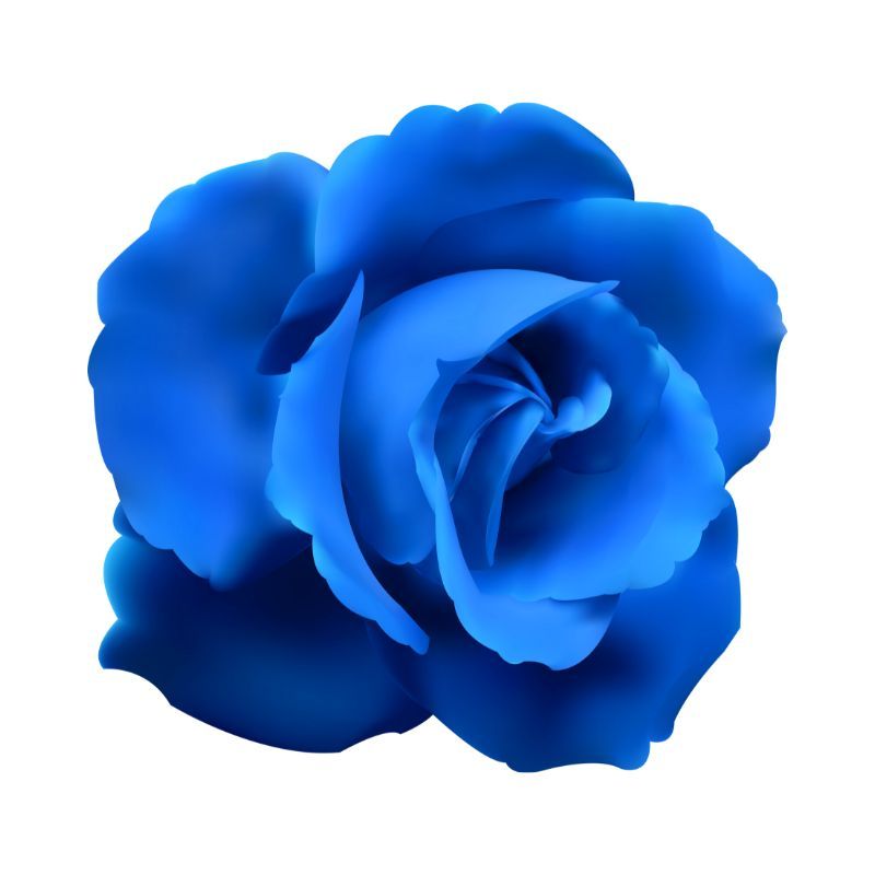 Rosas Azules
