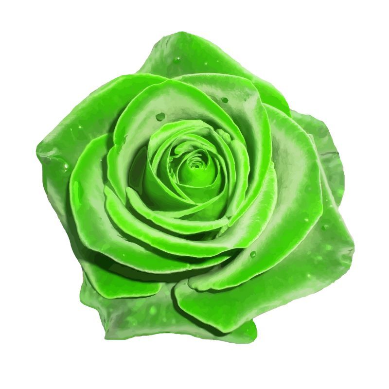 Rosas Verdes