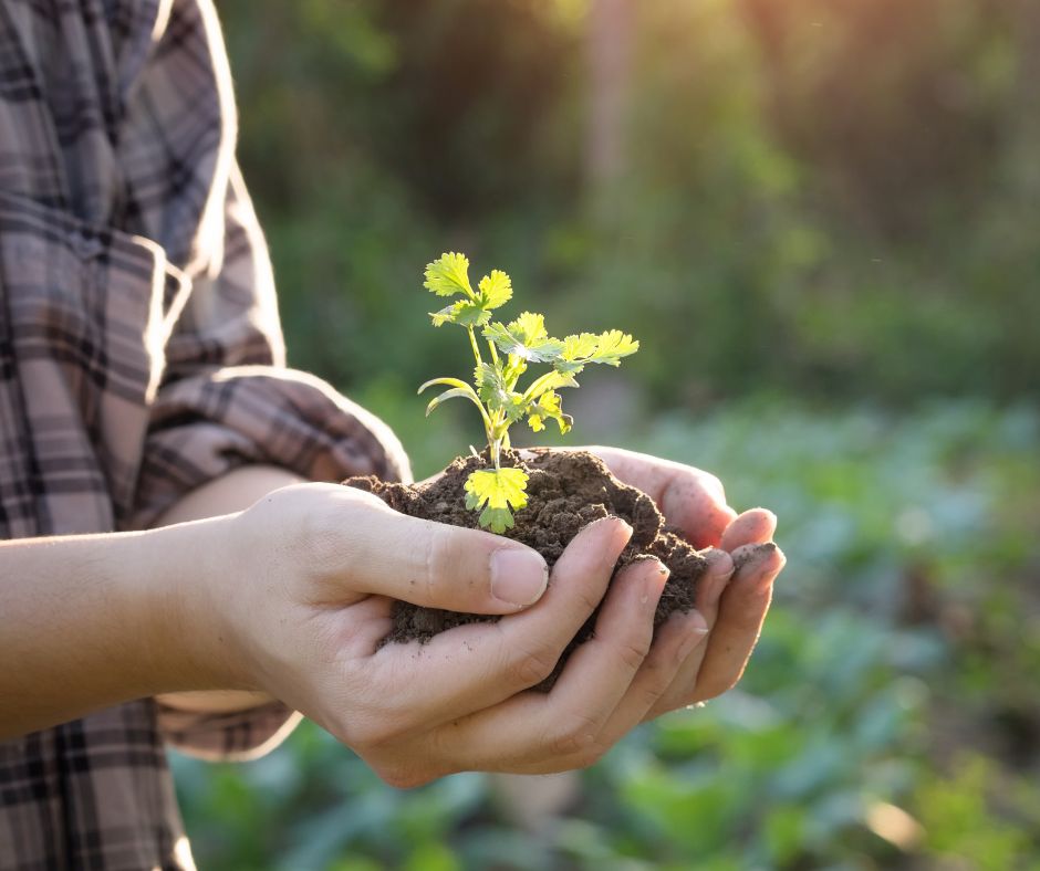 Productores, agricultores