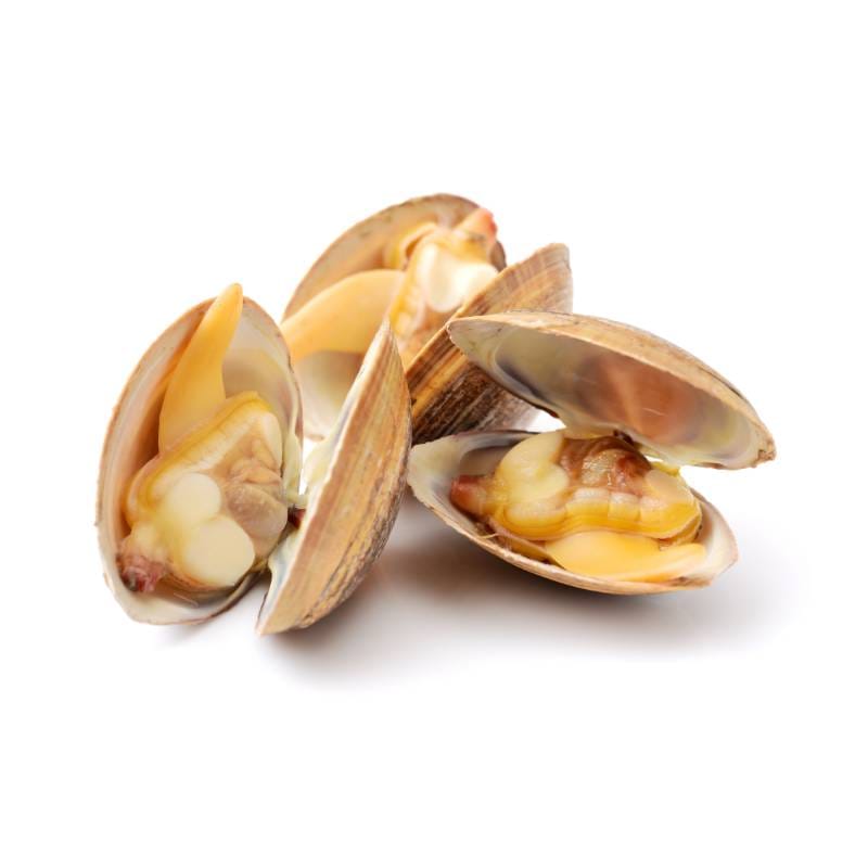Almejas