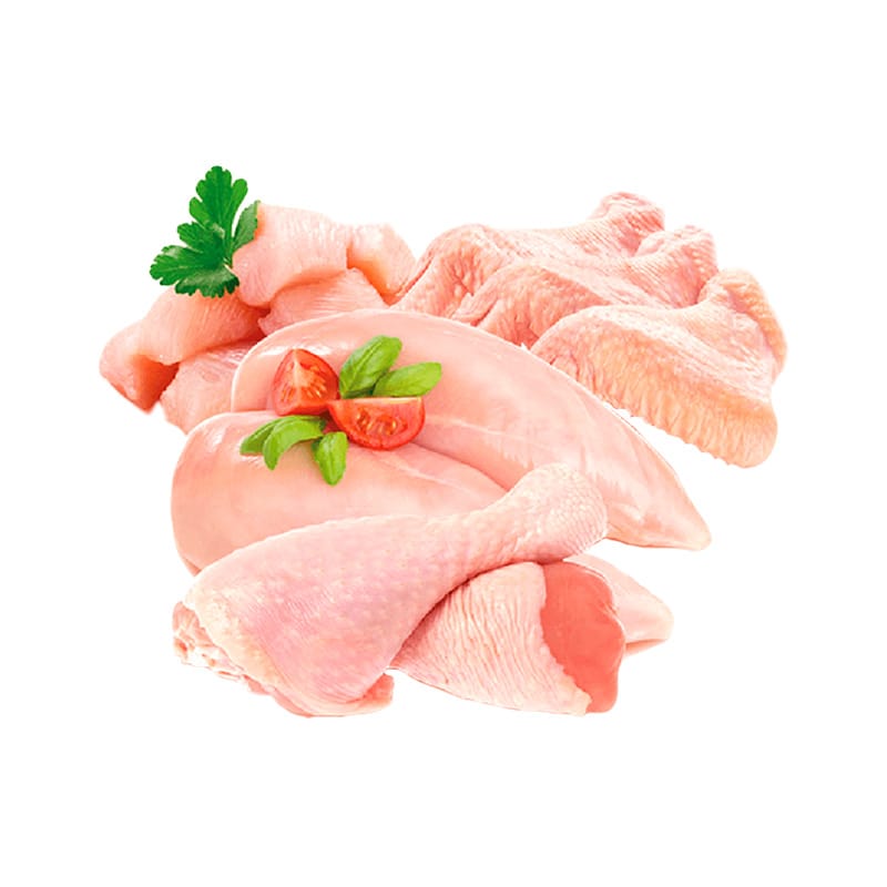 Pollo