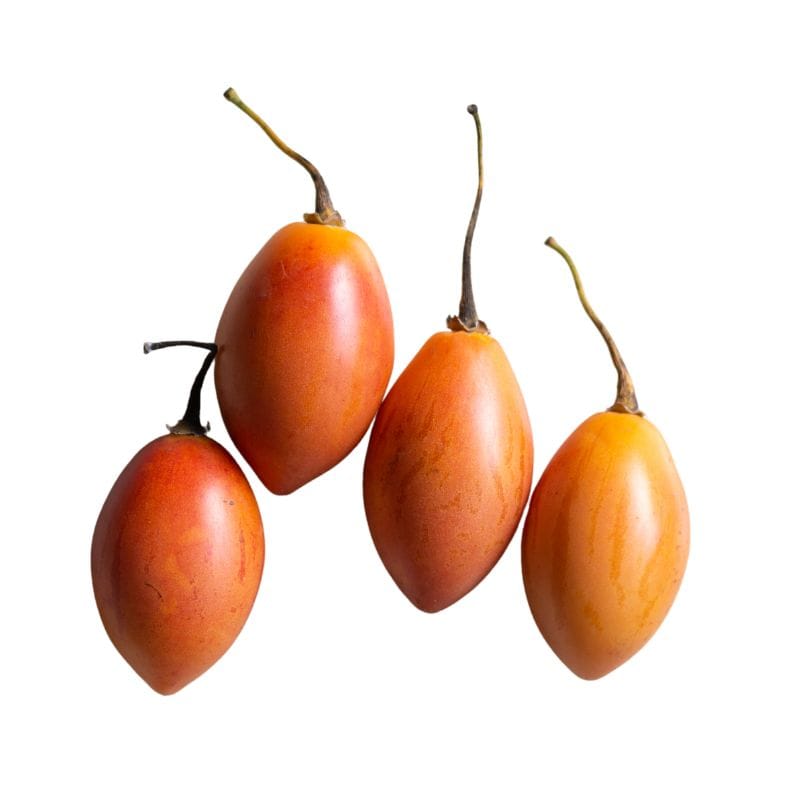 Tomate de árbol