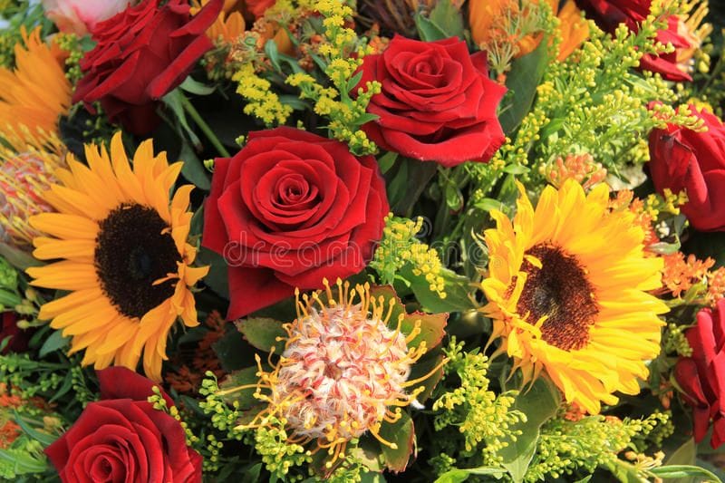 Ornamentales | Directamente de los productores