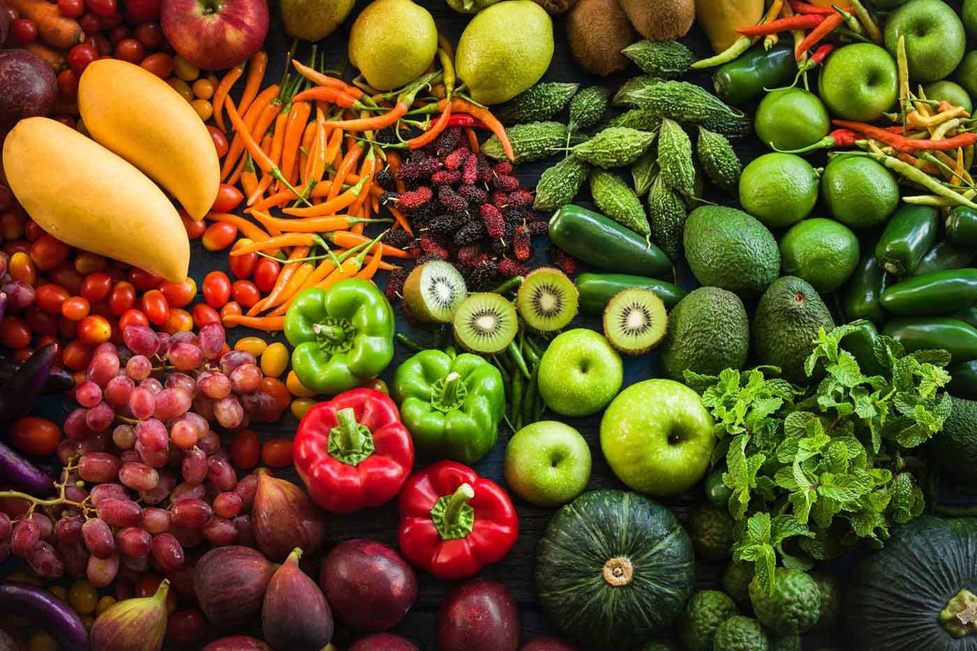 Hortalizas y Verduras | Directamente de los productores